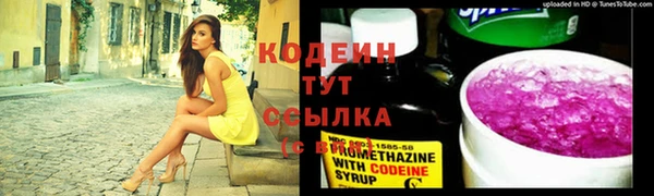 стафф Новокубанск