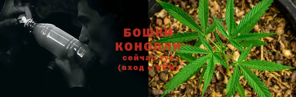 мескалин Новодвинск