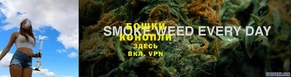 стафф Новокубанск