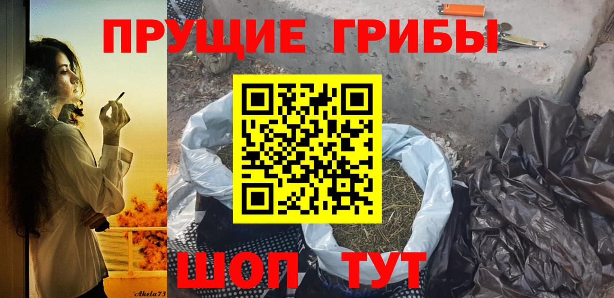 Псилоцибиновые грибы прущие грибы Кувандык