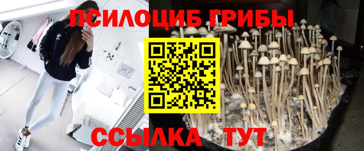 Галлюциногенные грибы MAGIC MUSHROOMS Кувандык