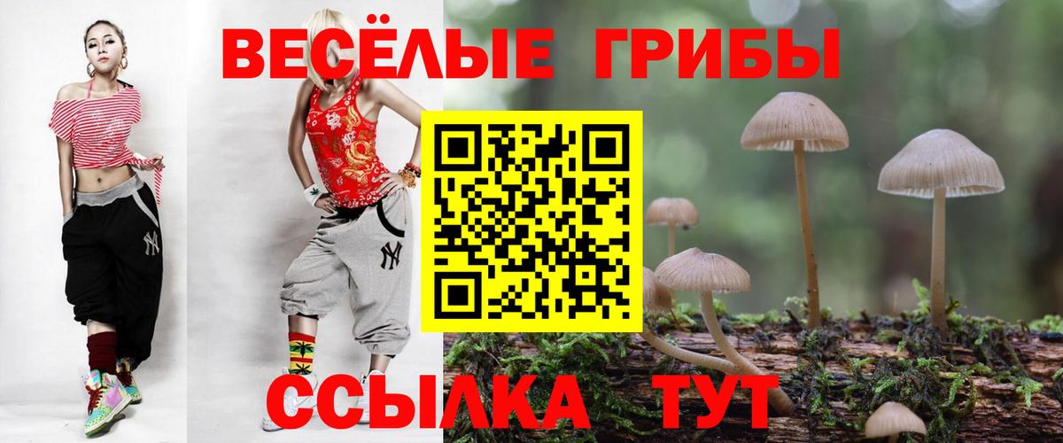 Галлюциногенные грибы Psilocybe  Псилоцибиновые грибы Cubensis  Кувандык  закладка  Вход с VPN 
